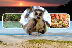 Explore Madagascar in One Week with Madagascar Tours Guide